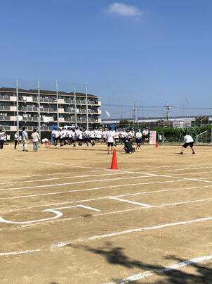 体育大会縄.jpg