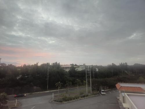 20241220_071023.jpg