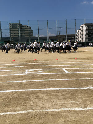 体育大会応援5.jpg