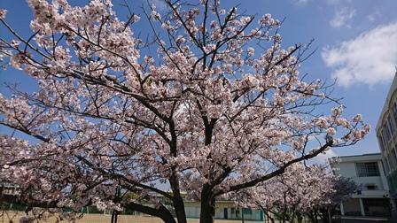 DSC_8219web.jpg
