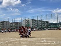 IMG_3751.JPG