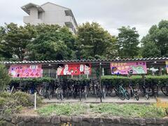 IMG_3812.JPG