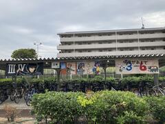 IMG_3815.JPG