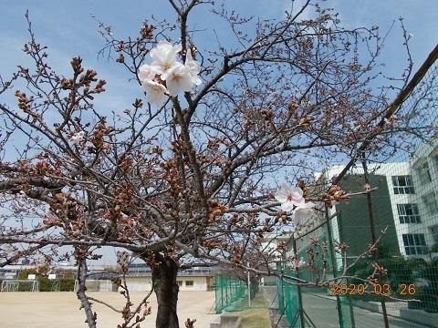 webDSCN1371.jpg