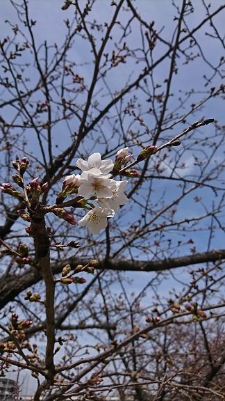 webDSC_1387.jpg