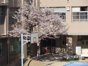 DSC01675.JPG