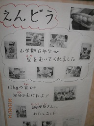 えんどう.jpg