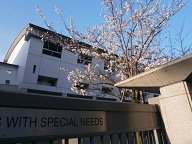 吹田正門桜.JPG