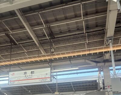 IMG_1302.jpeg