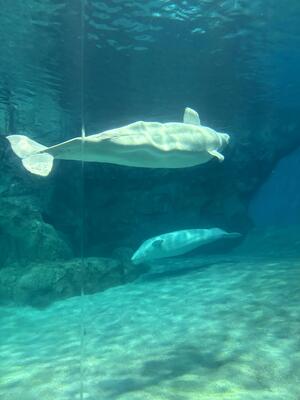 IMG_1320.jpeg