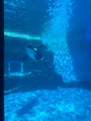 IMG_1325.jpeg
