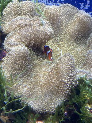 IMG_1344.jpeg