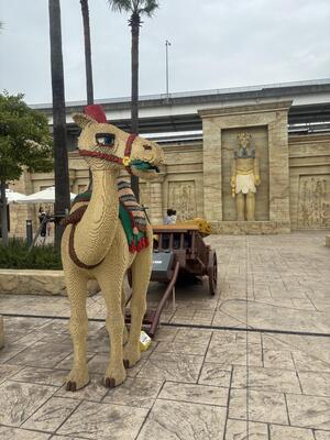 IMG_1403.jpeg