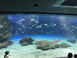 IMG_1482.jpeg