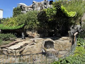 IMG_1484.jpeg