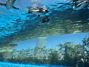 IMG_1487.jpeg
