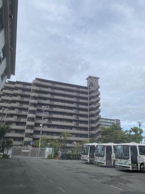 IMG_9803.jpeg