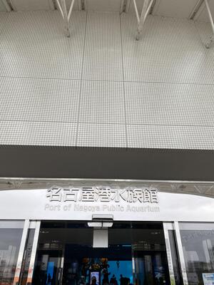 IMG_0119.jpeg