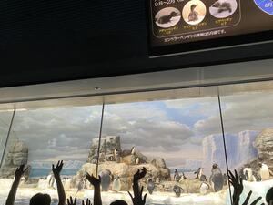 IMG_0128.jpeg