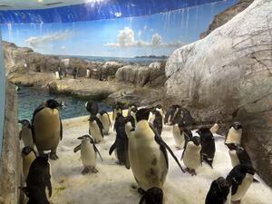 IMG_1520.jpeg