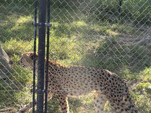IMG_1527.jpeg