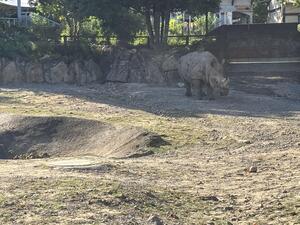 IMG_1534.jpeg