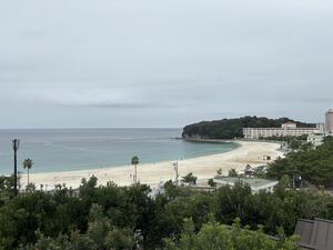 IMG_1548.jpeg