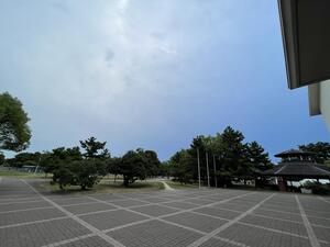 IMG_7351.jpeg
