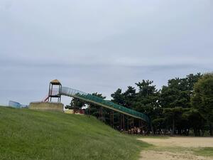 IMG_7360.jpeg
