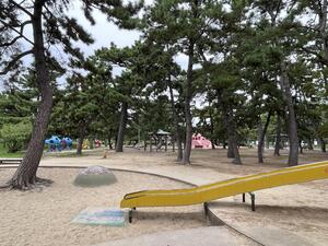 IMG_7362.jpeg