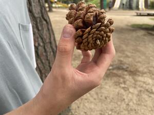 IMG_7375.jpeg