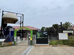 IMG_7378.jpeg