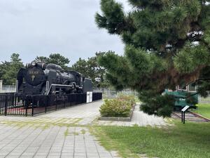 IMG_7445.jpeg