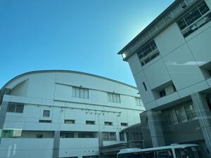IMG_8392.jpeg