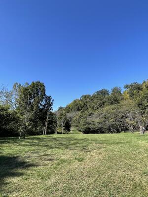 IMG_8442.jpeg