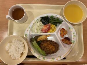 IMG_8462.jpeg