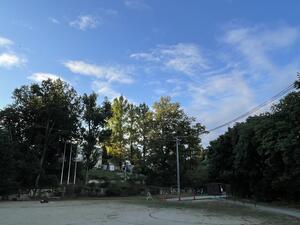 IMG_8486.jpeg