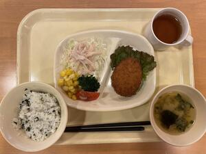 IMG_8488.jpeg