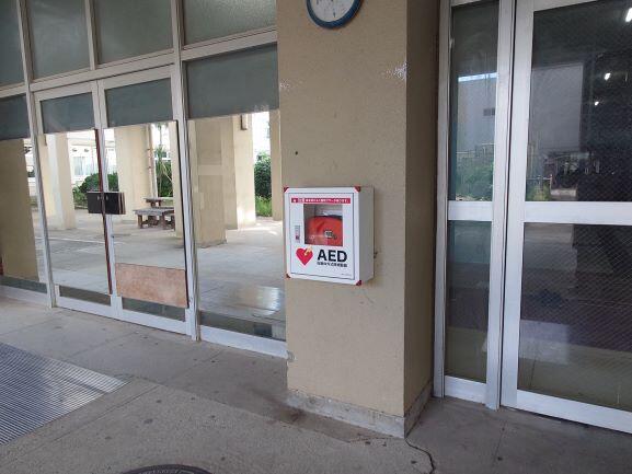 61743.JPG