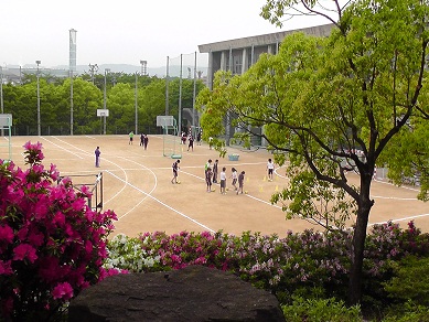 S3940003.JPG