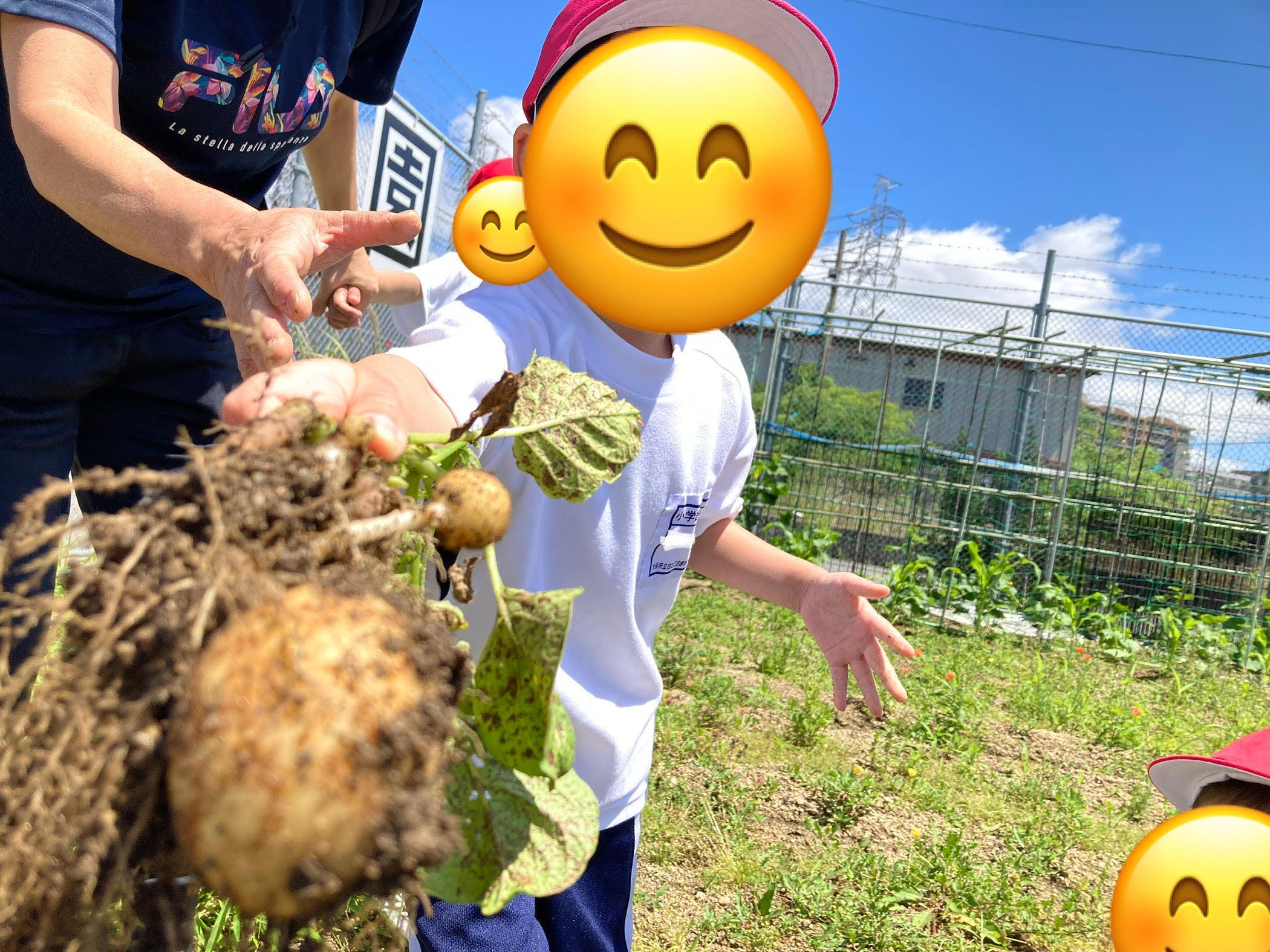 じゃがいも３.jpg