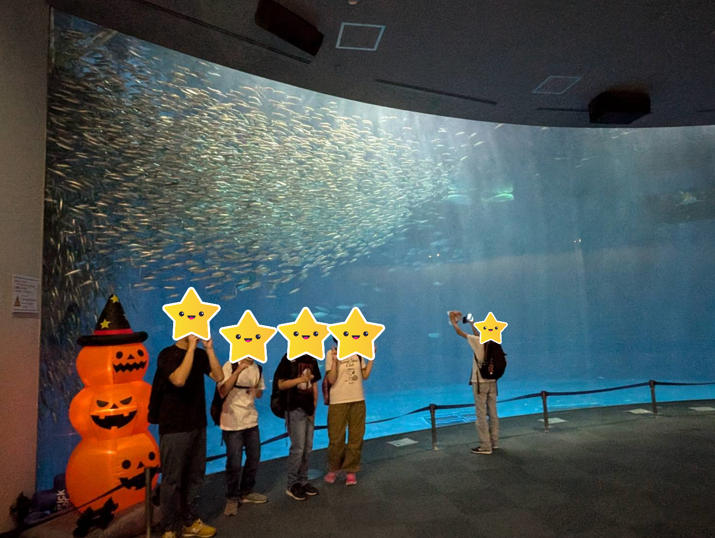 水族館３.png