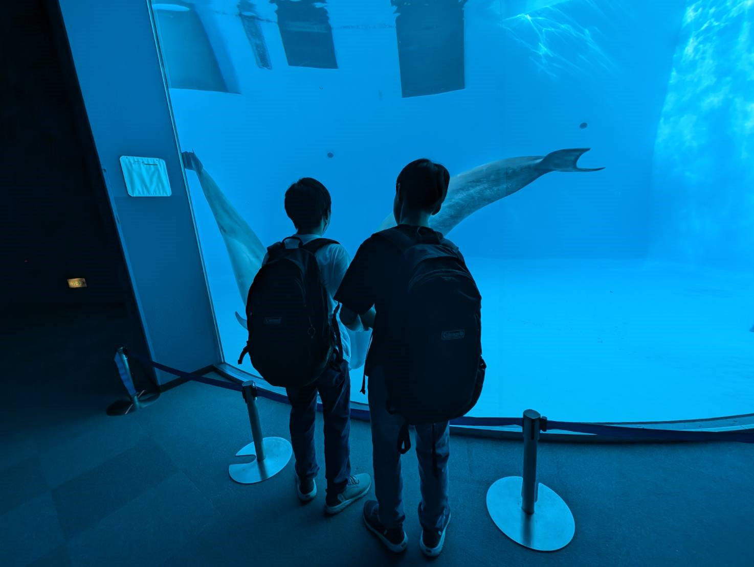 水族館２.png