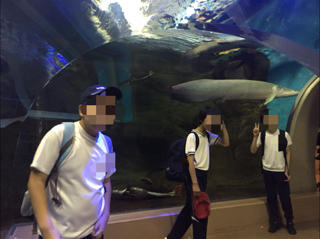 須磨水族館_02.jpg