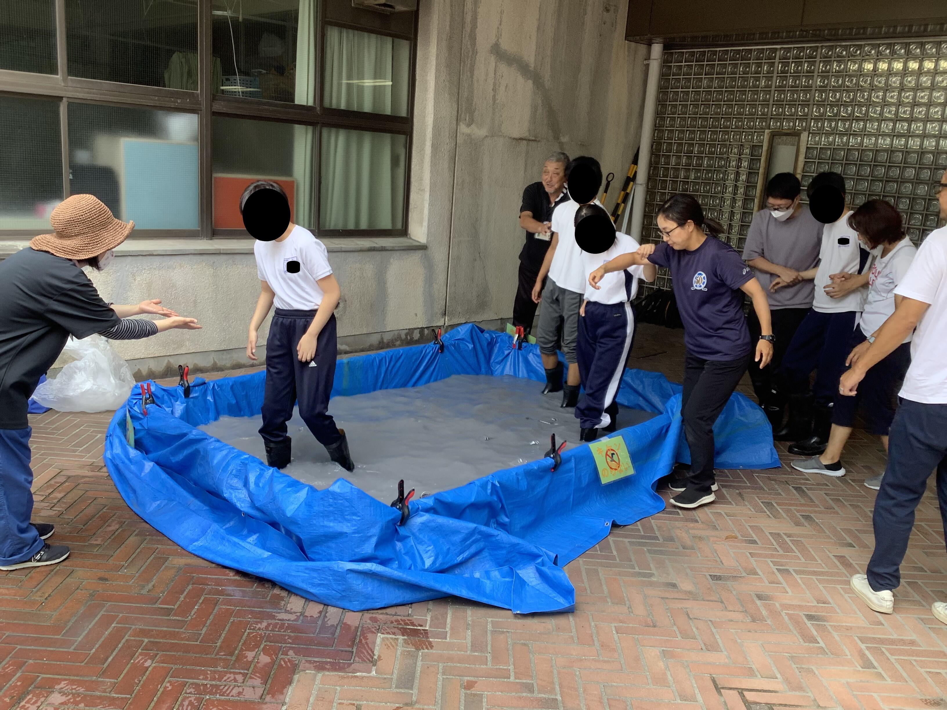image_50457089.jpg