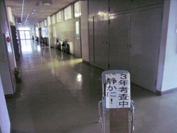 RIMG1359 (250x188).jpg