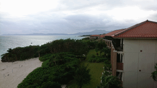 DSC_4538 (1).gif