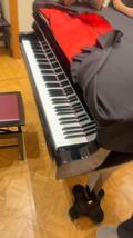 IMG_2897.jpeg