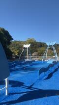 IMG_2901.jpeg