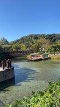 IMG_2904.jpeg